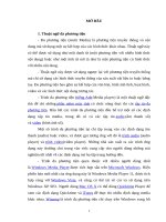 tiểu luận cao học Tích hợp đa phương tiện trên báo mạng điện tử