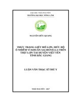 THỰC TRẠNG GIẾT mổ lợn, mức độ ô NHIỄM VI KHUẨN SALMONELLA TRÊN THỊT lợn