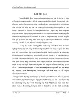 Hoàn thiện công tác kế toán bán hàng và xác định kết quả bán hàng tại Công Ty TNHH Thương Mại Xuất Nhập Khẩu Nam Tiến