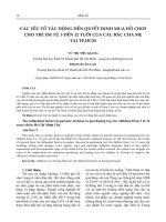 CÁC YẾU TỐ TÁC ĐỘNG ĐẾN QUYẾT ĐỊNH MUA ĐỒ CHƠI CHO TRẺ EM TỪ 3 ĐẾN 12 TUỔI CỦA CÁC BẬC CHA MẸ