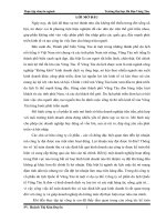 kế toán tiêu thụ và xác định kết quả hoạt động kinh doanh tại công ty cổ phần du lịch vũng tàu