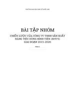 CHIẾN LƯỢC CỦA CÔNG TY TNHH SẢN XUẤT HÀNG TIÊU DÙNG BÌNH TIÊN (BITI’S) GIAI ĐOẠN 20152020