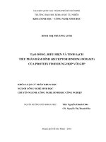 Tạo dòng, biểu hiện và tinh sạch tiểu phần bám dính (receptor binding domain) của protein FimH dung hợp với GFP