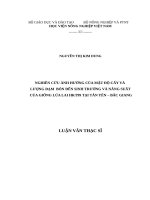 “Nghiên cứu ảnh hưởng của mật độ cấy và lượng đạm bón đến sinh trưởng  và năng suất của giống lúa lai HKT99 tại tân yên – bắc giang”