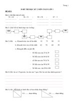 30 de thi hoc ki  mon toan lop 1