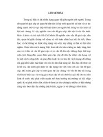 Vấn đề giai cấp, dân tộc trong chủ nghĩa mác   lênin và tư tưởng hồ chí minh tiểu luận cao học