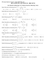 de cuong on tap hk2 mon toan lop 10 truong thpt dong anh ha noi nam hoc 2016 2017