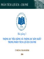 3  thặng dư tiêu dùng và thặng dư sản xuất trong phân tích chi phí và lợi ích
