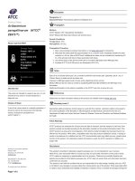 Avibacterium paragallinarum   (ATCC® 29975™) 
