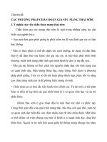 Phương pháp Chuẩn đoán mang thai sớm gia súc