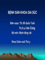 Bài giảng : Bệnh sản khoa sinh san Gia suc -  bai giảng điện tử