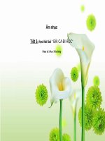 Hoc hat bai ca di hoc 