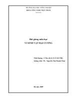 Bài Giảng Môn Vi Sinh Vật Đại Cương