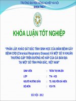 Khóa luận tốt nghiệp : phân lập, khảo sát đặc tính của mầm bệnh ở Gà