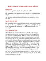Bệnh circo virus và phương pháp phòng 