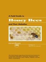A field guide to honey bees and their maladies 