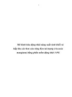 Mô hình hóa động thái năng suất sinh khối và hấp thu các bon của rừng keo tai tượng (accacia mangium) bằng phần mềm động thái 3 PG