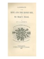 Langstroth on the hive and honey bee 