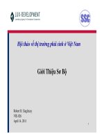 Hội thảo về thị trường phái sinh ở Việt Nam  Giới Thiệu Sơ Bộ