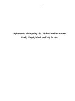 Nghiên cứu nhân giống cây lõi thọ bằng kỹ thuật nuôi cấy in vitro