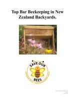 Top bar beekeeping in new zealand 