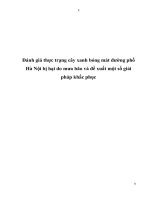 Đánh giá thực trạng cây xanh bóng mát đường phố hà nội bị hại do mưa bão và đề xuất một số giải pháp khắc phục