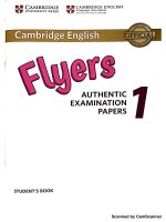 Flyers 1 (ver 2018)