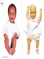 1 30 real or toy cards 