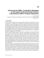 Chapter 14 Assessing the SMEs’ Competitive Strategies on the Impact of Environmental Factors: A Quantitative SWOT Analysis Application