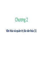 Chương 2 Văn hóa và quản trị đa văn hóa (1)