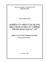 Nghiên cứu phản ứng quang hóa chấm lượng tử carbon với ion kim loại cu 2+, ni 2+