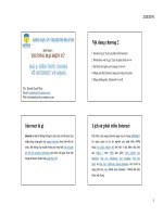 Bài giảng thương mại điện tử: Chuong 2 internet mang 