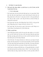 Báo cáo thực tập   đài truyền hình việt nam