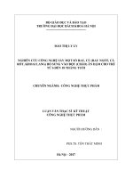 Nghiên cứu công nghệ sấy một số rau, củ (rau ngót, cà rốt, khoai lang) bổ sung vào bột (cháo) ăn dặm cho trẻ từ 6 đến 18 tháng tuổi 