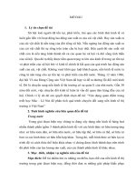 Tieu luan triet hoc vận dụng quan điểm trong triết học mác   lênin để phân tích quá trình chuyển đổi sang nền kinh tế thị trường ở việt nam