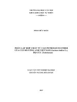 PHÂN LẬP HỢP CHẤT TỪ CAO PETROLEUM ETHER CỦA CÂY BỒ CÔNG ANH VIỆT NAM (Lactuca indica L.), HỌ CÚC (Asteraceae)