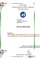 THỰC TRẠNG VÀ GIẢI PHÁP THÚC ĐẨY XUẤT KHẨU GỖ  VÀ SẢN PHẨM GỖ CỦA VIỆT NAM SANG THỊ TRƯỜNG EU