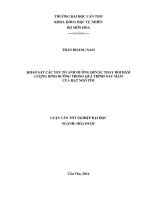 KHẢO SÁT CÁC YẾU TỐ ẢNH HƯỞNG ĐẾN SỰ THAY ĐỔI HÀM LƯỢNG DINH DƯỠNG TRONG QUÁ TRÌNH NẢY MẦM CỦA HẠT NGÔ TÍM