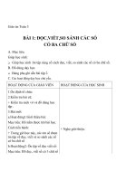 Giáo án Toán 3 chương 1 bài 1: Đọc,viết,so sánh các số có 3 chữ số