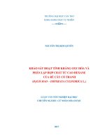 KHẢO SÁT HOẠT TÍNH KHÁNG OXY HÓA VÀ PHÂN LẬP HỢP CHẤT TỪ CAO HEXANE CỦA RỄ CÂY CỎ TRANH (BẠCH MAO – IMPERATA CYLINDRICA L.)