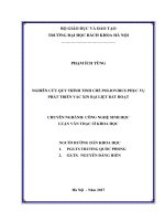 Nghiên cứu quy trình tinh chế poliovirus phục vụ phát triển vắc xin bại liệt bất hoạt 