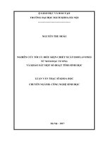 Nghiên cứu tối ưu điều kiện chiết khấu isoflavones từ mầm đậu tương và khảo sát một số hoạt tính sinh học 