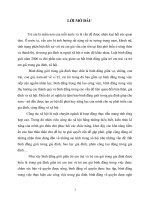 TIỂU LUẬN CAO HỌC Công tác xã hội với bất bình đẳng giới giữa trẻ em trai và trẻ em gái trong gia đình việt nam hiện nay