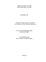 NGHIÊN CỨU KHẢ NĂNG XỬ LÍ METYL DA CAM BẰNG MÀNG CHITOSANPEOFe2O3