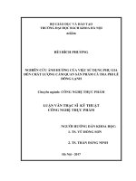 Nghiên cứu ảnh hưởng của việc sử dụng phụ gia đến chất lượng cảm quan sản phẩm cá tra phi lê đông lạnh 