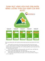 DANH mục HÀNG hóa PHẢI dán NHÃN NĂNG LƯỢNG THEO QUY ĐỊNH của NHÀ nước