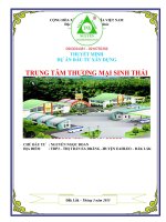 Dự án Trung tâm thương mại sinh thái tỉnh Đăk Lăk 0903034381