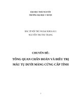TỔNG QUAN CHẨN ĐOÁN VÀ ĐIỀU TRỊ MÁU TỤ DMC CẤP