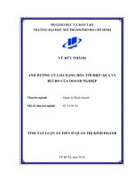 Ảnh hưởng của đa dạng hóa tới hiệu quả và rủi ro của doanh nghiệp tt