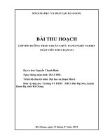 Bài thu hoạch thăng hạng GVTHCS hạng II( bình)